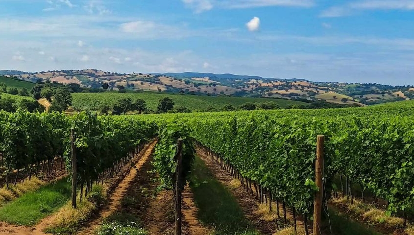 Languedoc-Roussillon