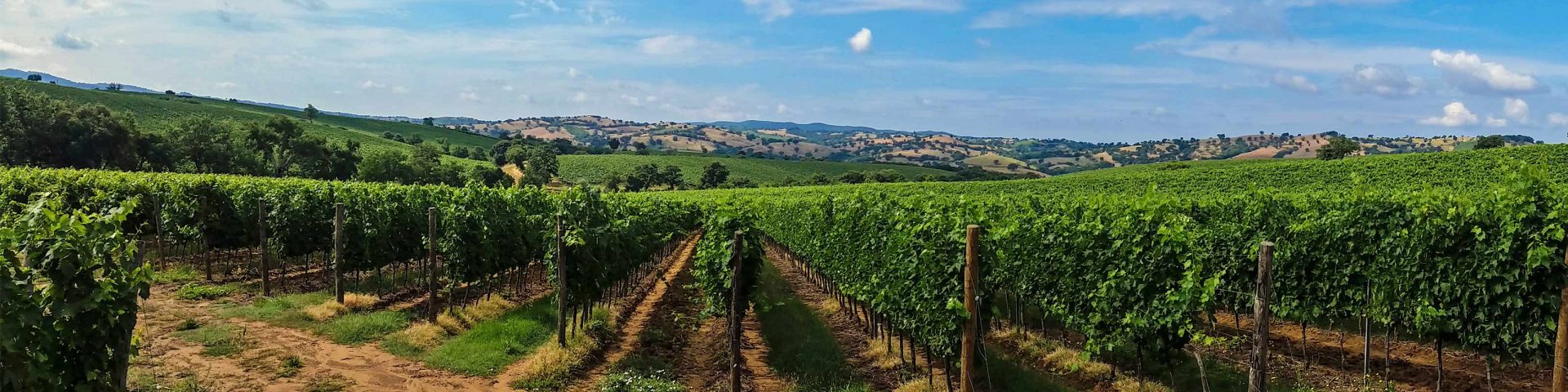 Languedoc-Roussillon